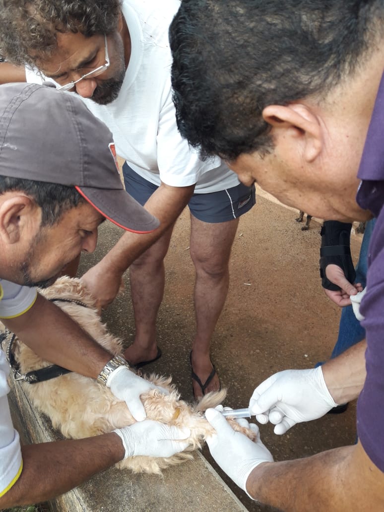 Prefeitura intensifica os trabalhos no Centro de Controle a Zoonoses em Águas Lindas