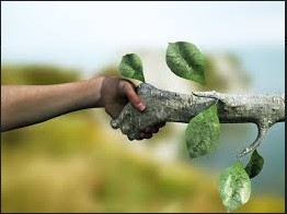 Prefeitura efetivou programa que auxilia na preservação ambiental