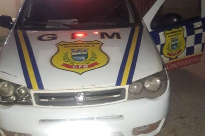 Guarda Patrimonial Municipal é acionada para verificar colisão de veículo emmuro de escola