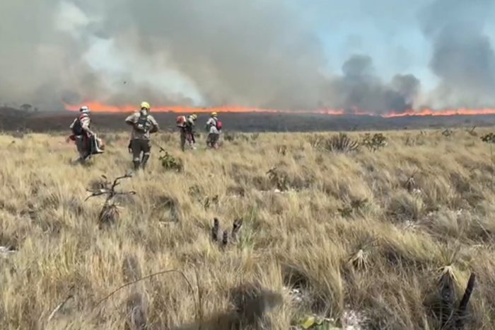 Incêndio na Chapada dos Veadeiros tem novos focos e atinge mais de 15 mil hectares