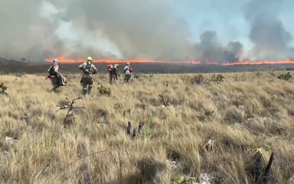 Incêndio na Chapada dos Veadeiros tem novos focos e atinge mais de 15 mil hectares