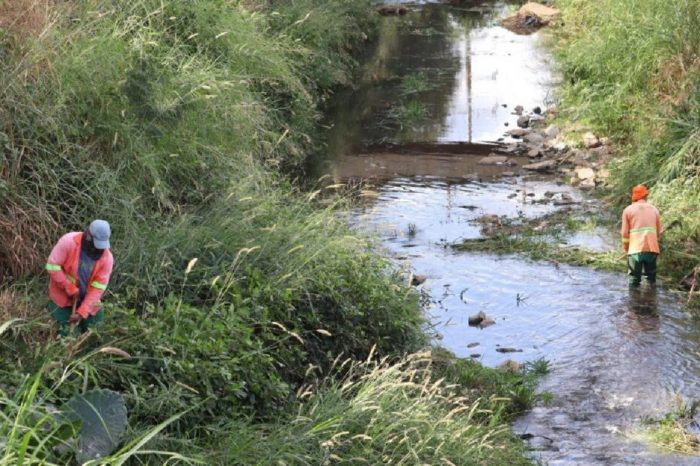 Goiânia terá ações de combate ao mosquito da dengue neste fim de semana