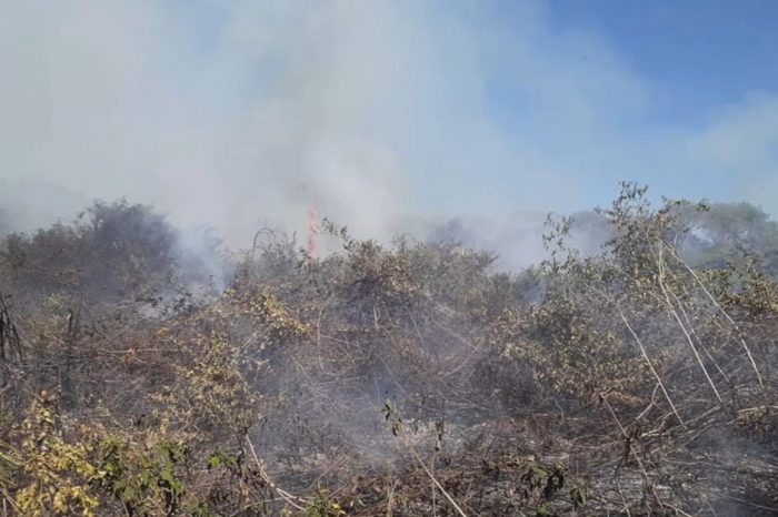 Governo federal reconhece emergência em cidades de Mato Grosso do Sul