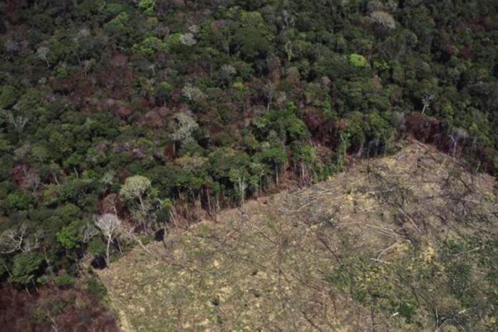 Amazônia tem recorde de desmate em setembro