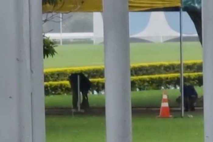Funcionários retiram parte do cercadinho usado pelo presidente Bolsonaro no Palácio da Alvorada