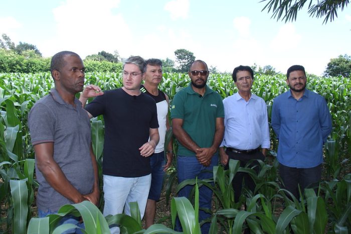 Prefeitura de Águas Lindas auxilia agricultor na produção de silagem de milho