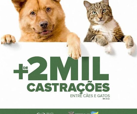 O Bem-estar animal realizou no ano de 2022 mais de 2 mil castrações, entre cães e gatos.