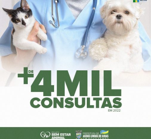 mais de 4 mil consultas gratuitas