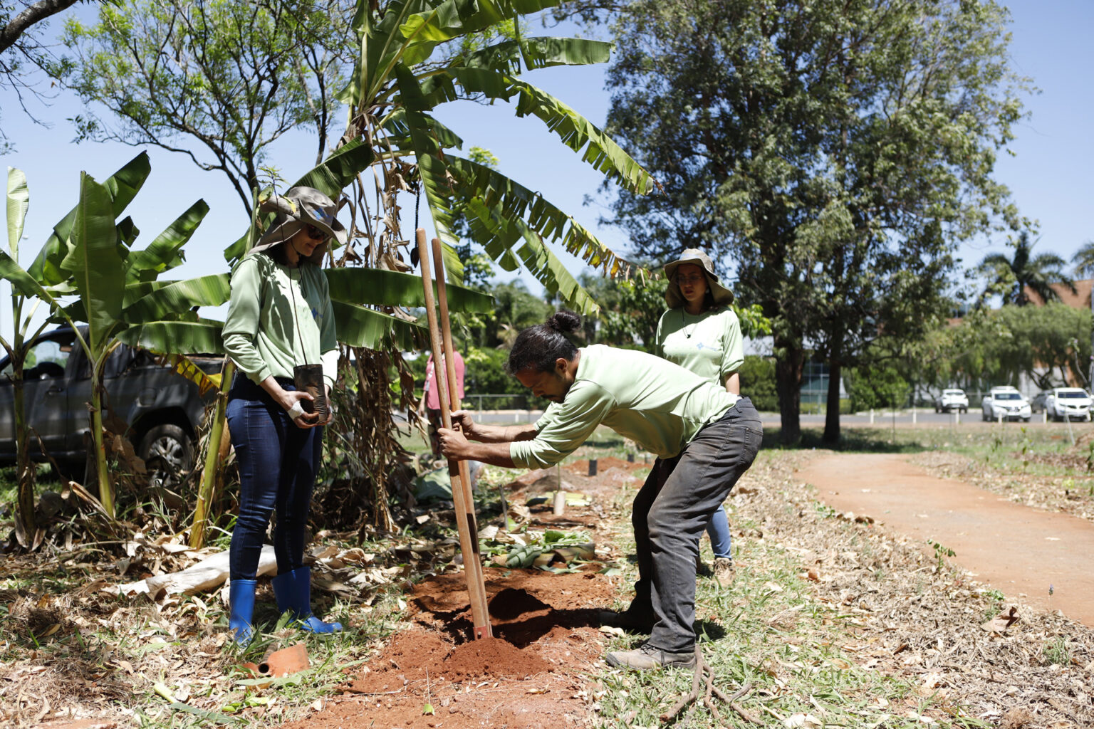 UBS 1 da Asa Sul inaugura espaço com plantas medicinais