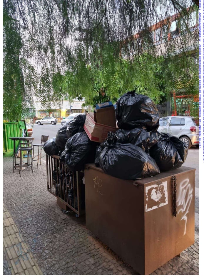 Vereadora denuncia ao MP caos na limpeza urbana em Goiânia&nbsp;