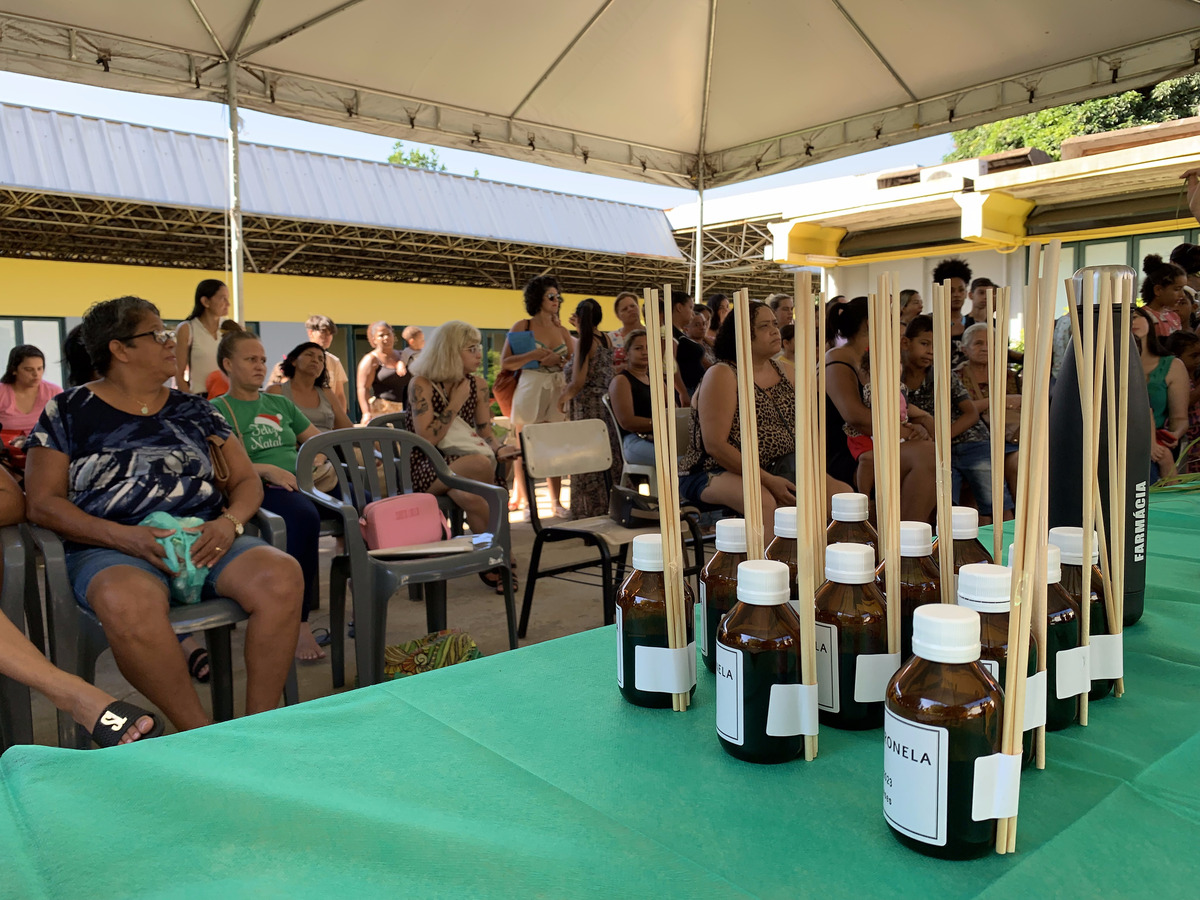 Oficina ensina a preparar difusor de citronela contra o Aedes aegypti
