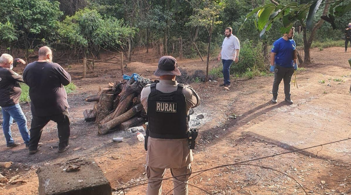 Abatedouro clandestino é fechado em Anápolis e 40 cavalos são resgatados