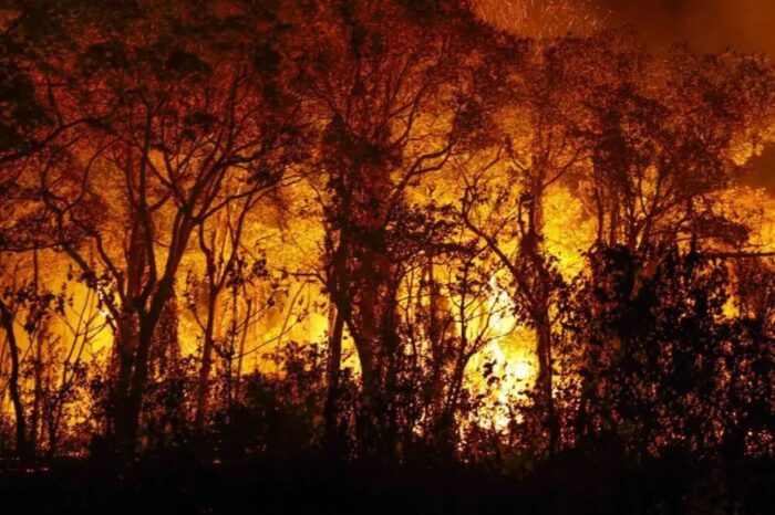 Caiado proíbe uso do fogo em vegetação no Estado por 120 dias