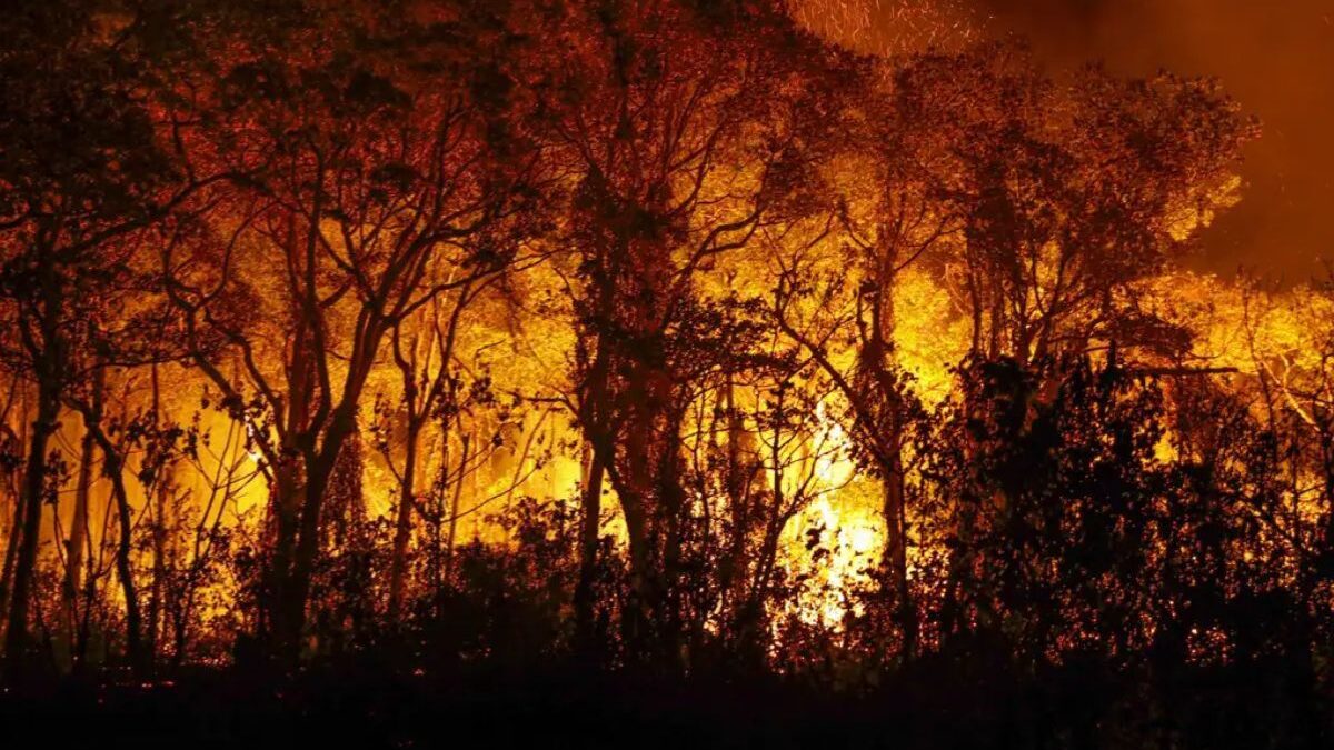 Caiado proíbe uso do fogo em vegetação no Estado por 120 dias