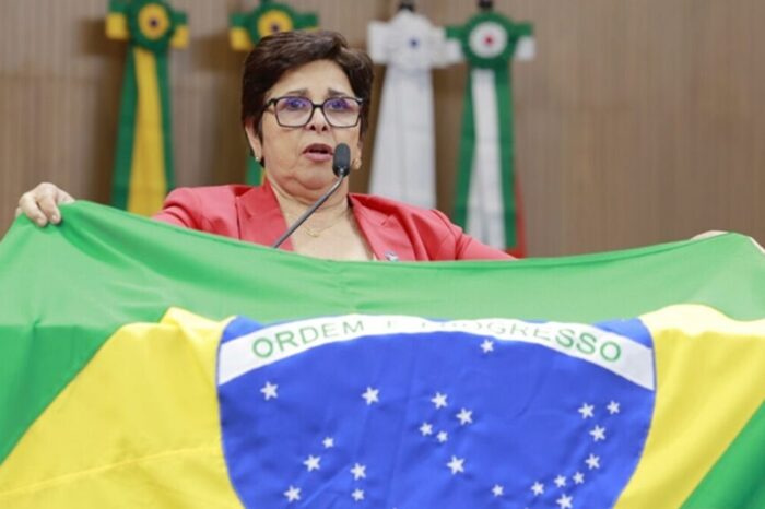 Deputada do PT confronta Amauri e leva bandeira do Brasil a tribuna da Alego: “Lambe-botas”